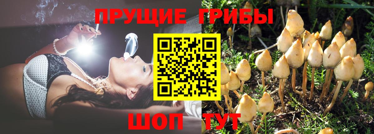 Галлюциногенные грибы мухоморы  Вход с VPN  Зерноград  Галлюциногенные грибы GOLDEN TEACHER 
